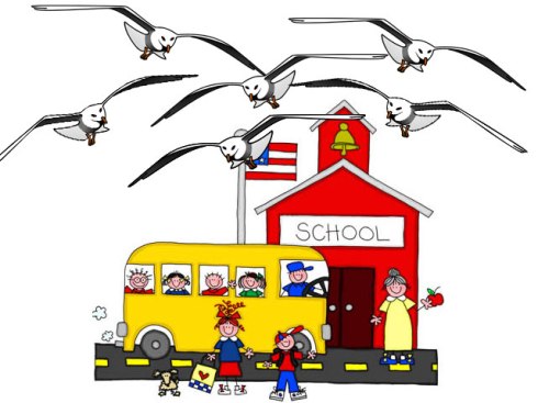 seagullschool